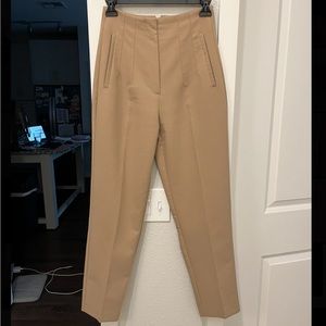 Zara High Waisted Pants